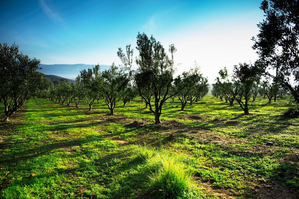 Galenia Estate Hotel Montagu Buitenkant foto